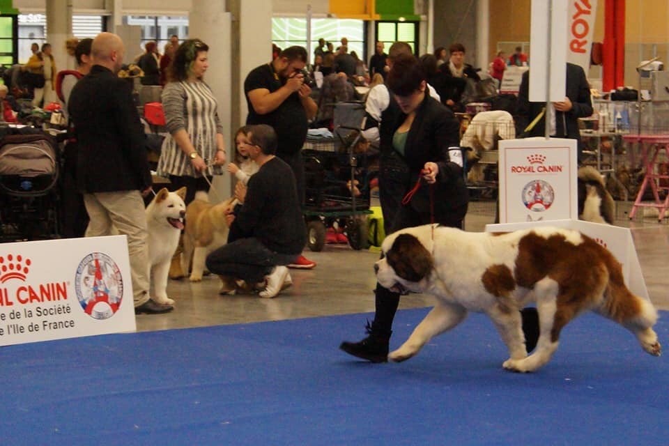 PARIS DOG SHOW 2018