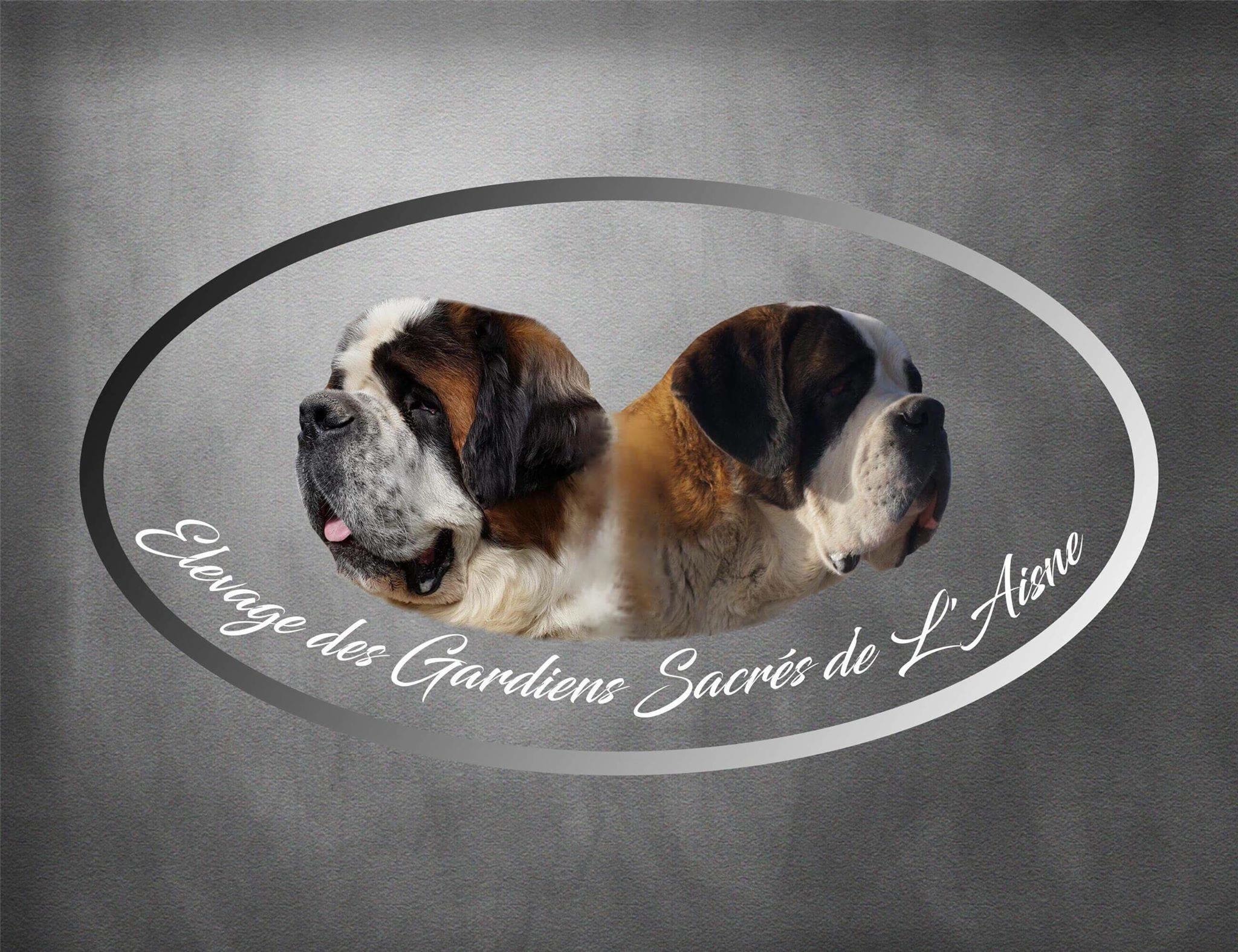 Des Gardiens Sacres De Laisne